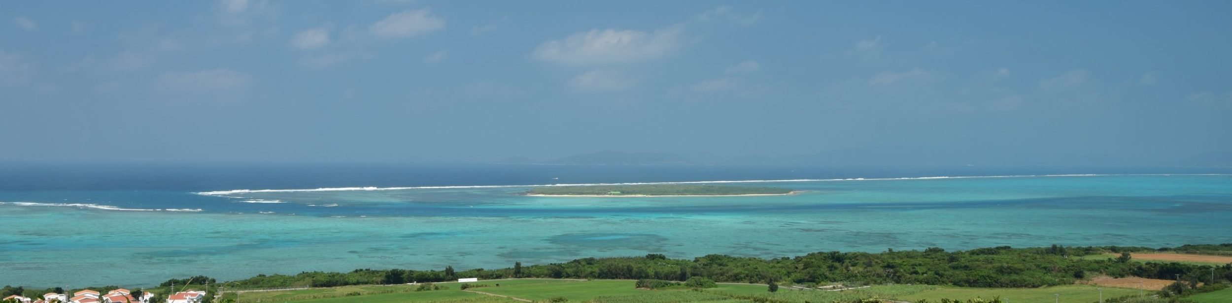 沖縄猫風～Okinyawanyanpu～